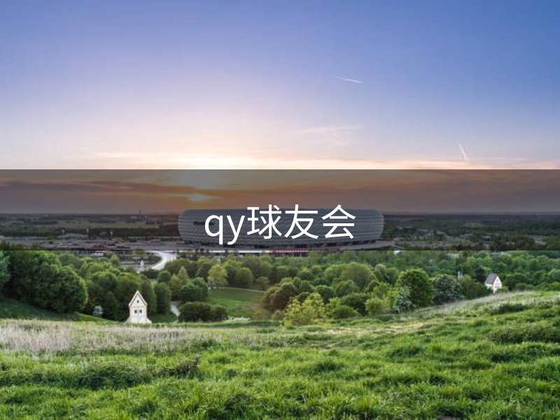 公司未来方向